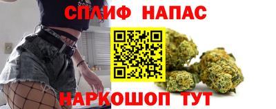 гидропоника Пугачёв