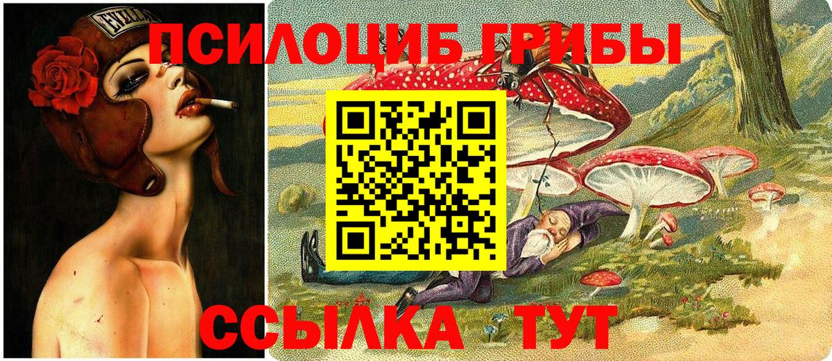 Радужный  Псилоцибиновые грибы GOLDEN TEACHER  Вход с VPN 